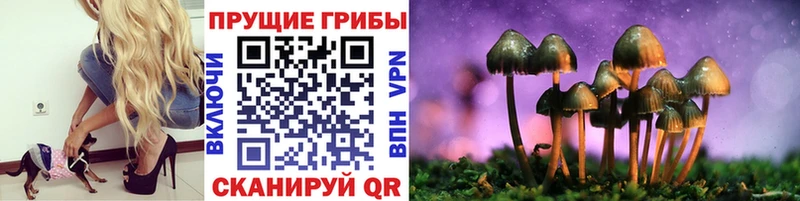 Псилоцибиновые грибы Magic Shrooms  Сысерть 